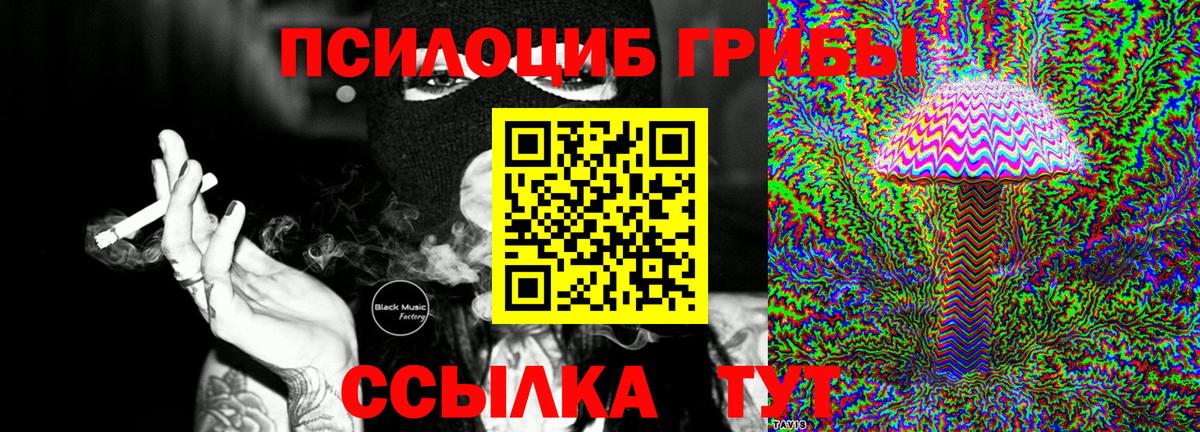 Осинники  Псилоцибиновые грибы Magic Shrooms  Галлюциногенные грибы Psilocybe  Вход с VPN 