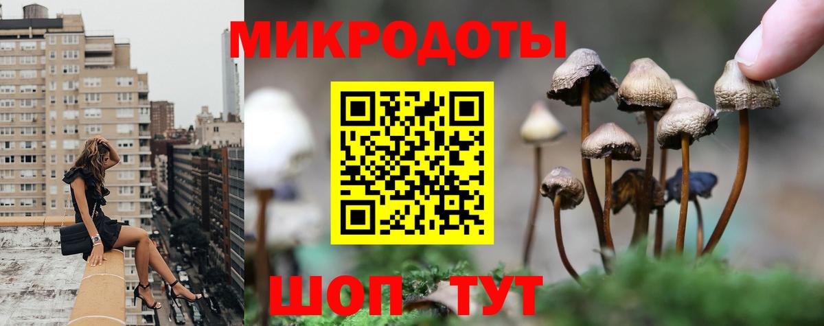 Галлюциногенные грибы прущие грибы Осинники